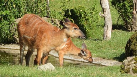 Wildlife Conservancies in Kenya - Kendirita Tours & Travel Blog