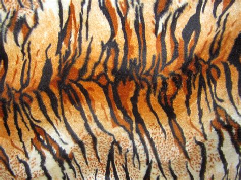 Texture of a Tiger Furr | Texture, Tiger, Creative project