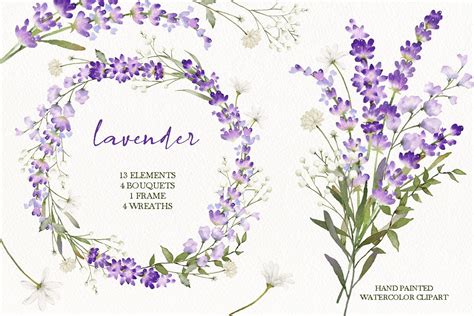 Watercolor Lavender Floral Clipart Graphic by Fineartlab · Creative Fabrica