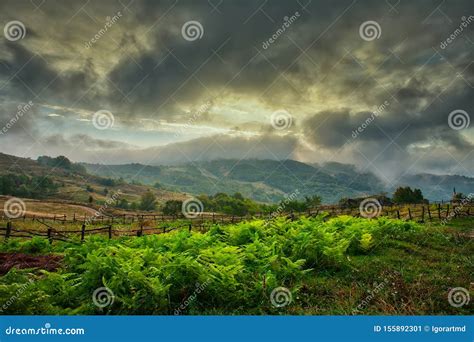 Mountain Valley during Sunset. Stock Image - Image of field, natural: 155892301