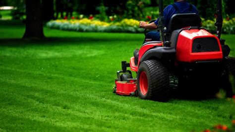 Lawn Service Near Me in Centre City