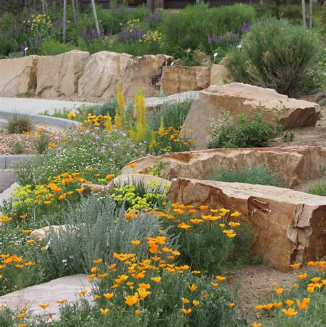 Native Plants Demonstration Garden - High Plains Environmental Center