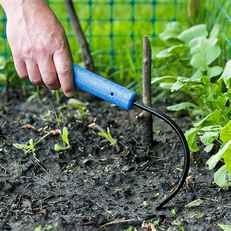 The 7 Best Weeding Tools to Keep Your Garden and Lawn Pristine