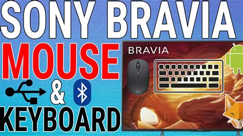 How To Connect Mouse & Keyboard To Sony Bravia TV - YouTube