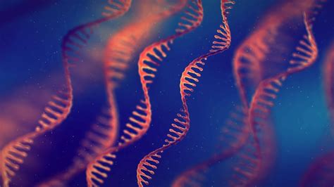 What is RNA splicing?