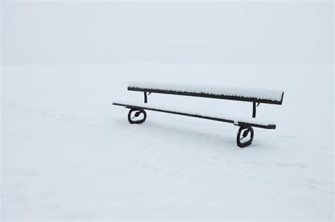 Bench In Winter Free Stock Photo - Public Domain Pictures