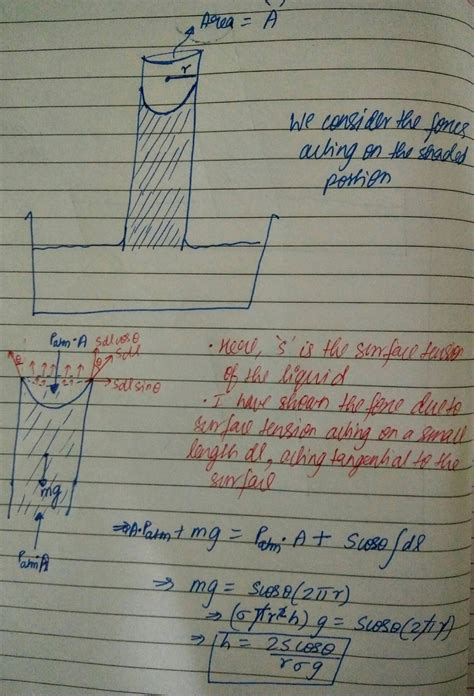 surface tension - Forces causing capillary rise - Physics Stack Exchange