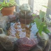 Amazon.com: Tom & Co. Frog Hollow Solar Water Fountain: Home & Kitchen