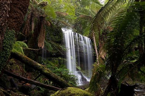 Tasmanian Wilderness World Heritage Area - WorldAtlas