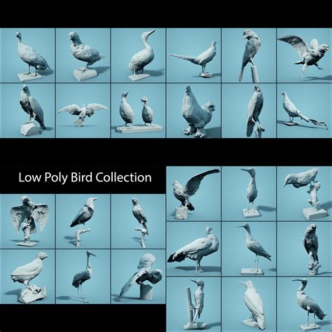 Low Poly bird Collection | 3D model | 3d model, Low poly models, Low poly