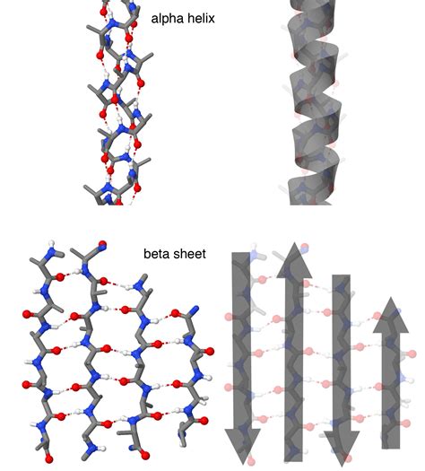 Guide to Understanding PDB Data: Hierarchical Structure