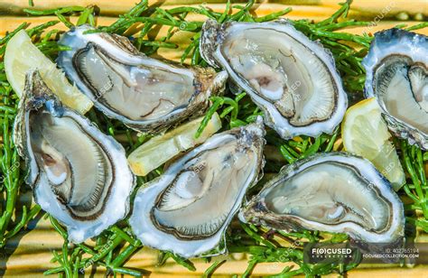 France, Arcachon bay, oysters — Gironde, travel - Stock Photo | #402765194