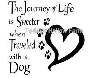 Pet Memorial Svg - Etsy | Pet loss quotes, Pet memorials, Scripture quotes