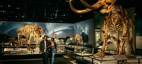 Plan your visit to Edmonton's Royal Alberta Museum | Explore Edmonton