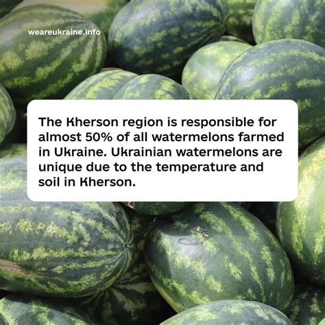 How did the watermelon become a symbol of Kherson’s liberation from ...