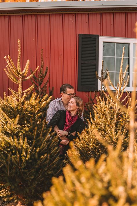 Austin Family - Mini session at the Christmas Tree Farm - Kristin Brown ...