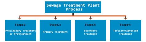 Sewage Treatment Plant Process | Working of Sewage Treatment Plant