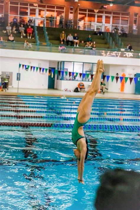 Divers prove to be a critical part of the swim and dive team – FHC ...