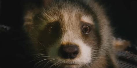 James Gunn Shares Painfully Cute Baby Rocket GotG 3 Test Footage