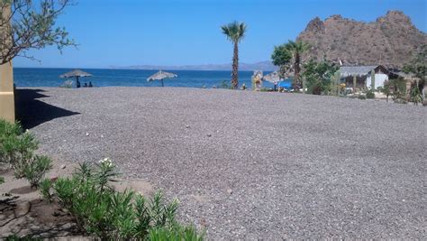 Sea of Cortez Beaches | Beach, Travel destinations beach, California beach