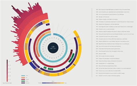 "a life" as seen as a #infographic | Data visualization design, Data ...