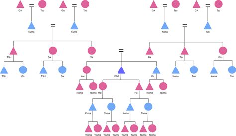 Kinship Case Study | Kinship Diagram Template