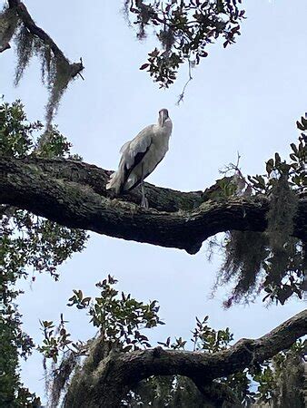 Fort Clinch State Park (Fernandina Beach) - 2020 All You Need to Know BEFORE You Go (with Photos ...