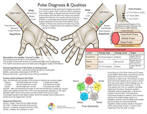 Pulse Diagnosis Acupuncture Chart