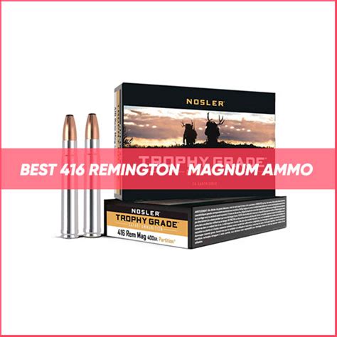 Best 416 Remington Ammo 2024 | TOP 12 🎯 416 Remington Magnum Ammo