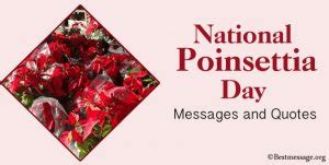 Happy National Poinsettia Day Messages and Quotes