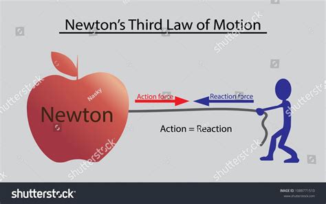 Newton's Third Law of Motion - LydiaewaBerry