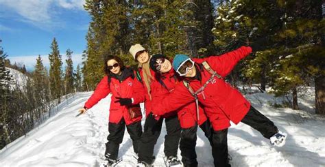 Whitehorse: Half-Day Snowshoeing Tour | GetYourGuide