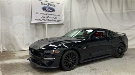 Ford Mustang Gt Blacked Out