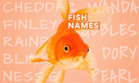 The 200 Best Fish Names | BeChewy