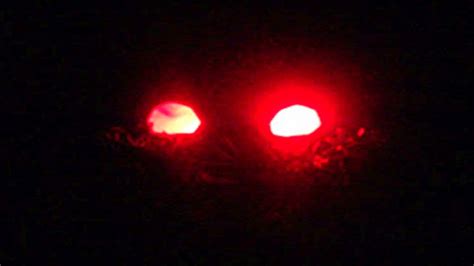 Halloween Case #6: Discovering The Strange and Terrifying "Mothman" Phenomenon - My Haunted Life Too