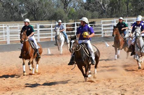 Horse war at Wee Waa | The Land | NSW