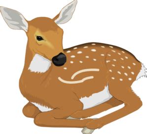 Free Baby Deer Cliparts, Download Free Baby Deer Cliparts png images ...