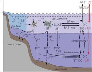 Marine Organic Geochemistry | Earth, Atmospheric, and Planetary Sciences | MIT OpenCourseWare