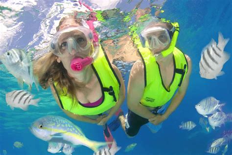 nassau-ultimate-snorkeling-bahamas - Bahamas Cruise Excursions