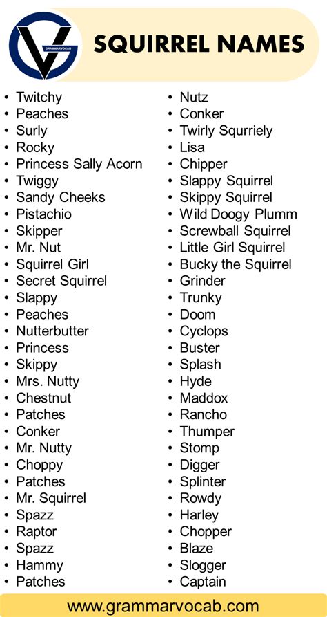 Funny Names For A Squirrel – Squirrel Names - GrammarVocab