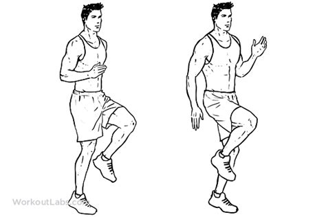 High Knees / Front Knee Lifts | Illustrated Exercise guide - WorkoutLabs