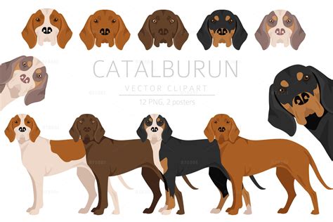 Catalburun Puppies