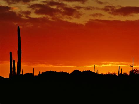 Desert Solitaire Redux - Earthwalkabout