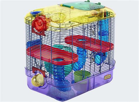 Exploring the Fun of a Hamster Cage with Tubes!