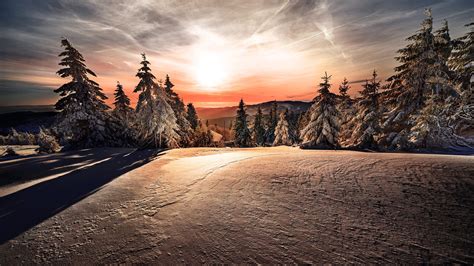 Mountain With Snow Covered Trees During Sunrise HD Winter Wallpapers | HD Wallpapers | ID #54957