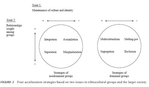 Acculturation Research Paper – EssayEmpire