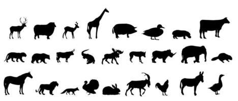 Cow Engraving Vector Art, Icons, and Graphics for Free Download