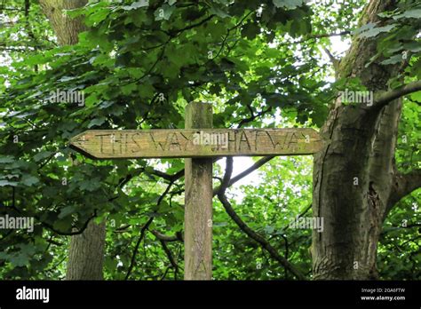 A quirky and unusual wooden sign post saying 'this way and that way', The Wrekin, Shropshire ...
