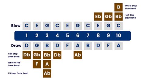 Learn C Harmonica Notes - An Easy Beginner’s Guide