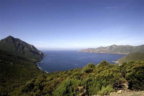 The flavours of Corsica | Diverse and unique cuisine